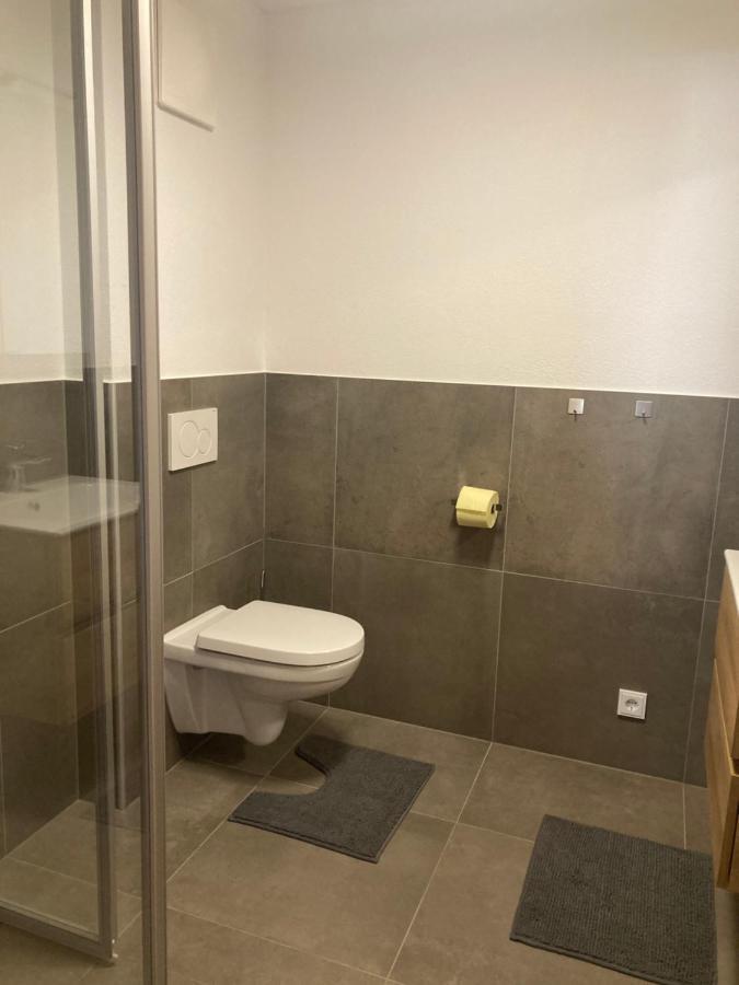 Appartement Stefanie Hollersbach im Pinzgau Luaran gambar